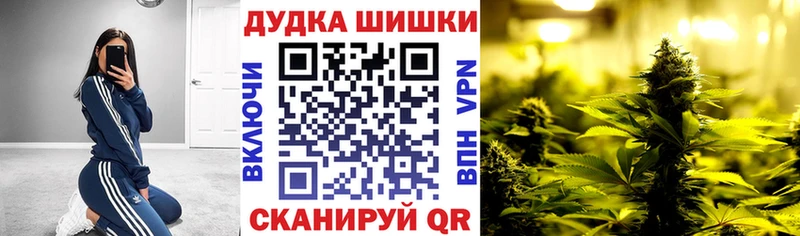 Конопля SATIVA & INDICA Новоалтайск